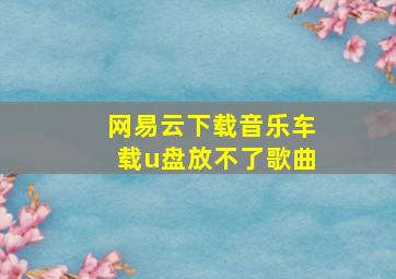 网易云下载音乐车载u盘放不了歌曲