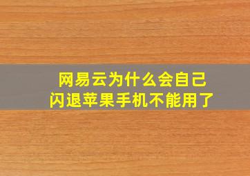 网易云为什么会自己闪退苹果手机不能用了