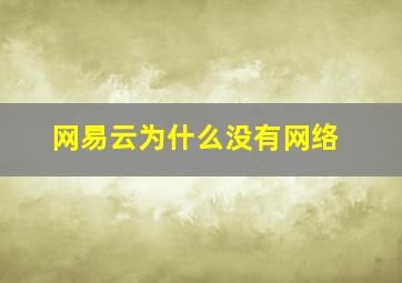 网易云为什么没有网络