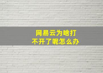 网易云为啥打不开了呢怎么办