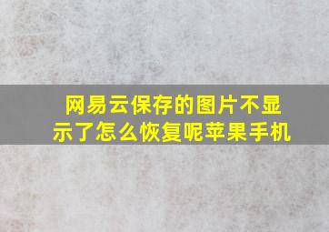 网易云保存的图片不显示了怎么恢复呢苹果手机