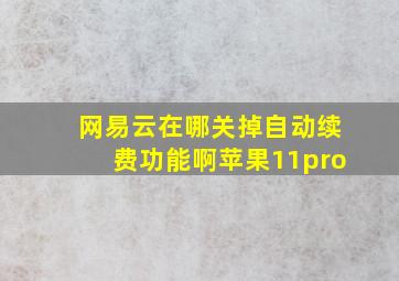 网易云在哪关掉自动续费功能啊苹果11pro