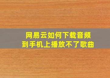 网易云如何下载音频到手机上播放不了歌曲