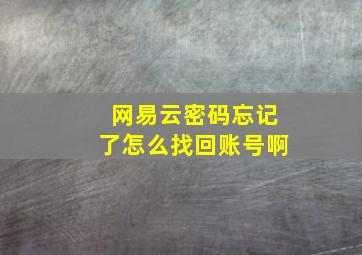 网易云密码忘记了怎么找回账号啊