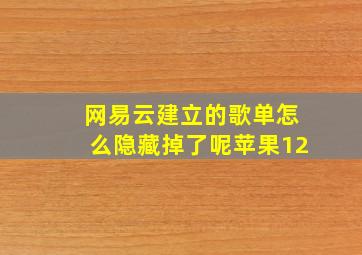 网易云建立的歌单怎么隐藏掉了呢苹果12