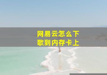 网易云怎么下歌到内存卡上