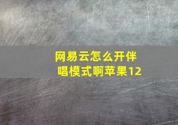 网易云怎么开伴唱模式啊苹果12