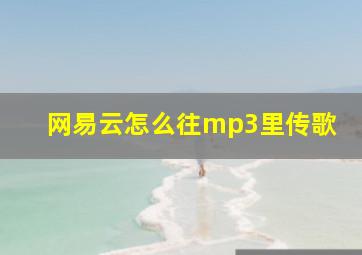 网易云怎么往mp3里传歌