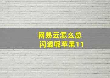 网易云怎么总闪退呢苹果11