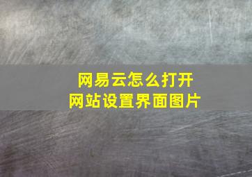 网易云怎么打开网站设置界面图片