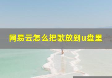 网易云怎么把歌放到u盘里