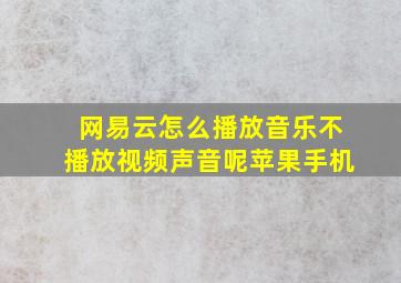 网易云怎么播放音乐不播放视频声音呢苹果手机