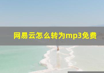 网易云怎么转为mp3免费