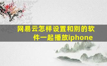 网易云怎样设置和别的软件一起播放iphone