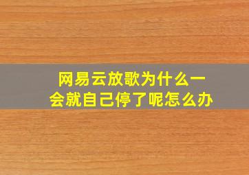 网易云放歌为什么一会就自己停了呢怎么办