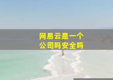 网易云是一个公司吗安全吗