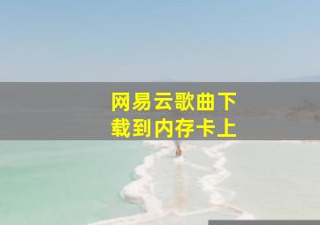 网易云歌曲下载到内存卡上