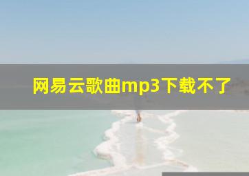 网易云歌曲mp3下载不了