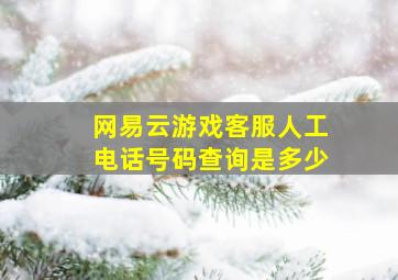 网易云游戏客服人工电话号码查询是多少