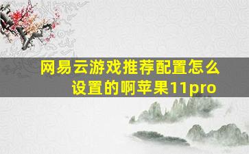 网易云游戏推荐配置怎么设置的啊苹果11pro