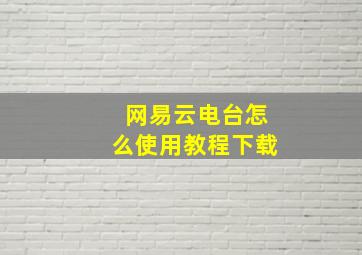 网易云电台怎么使用教程下载