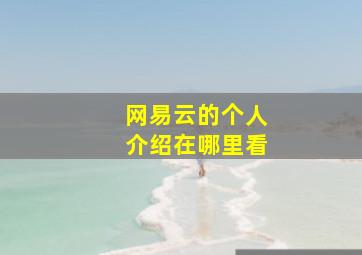 网易云的个人介绍在哪里看