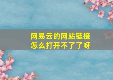 网易云的网站链接怎么打开不了了呀