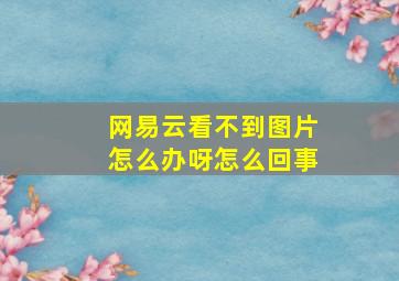 网易云看不到图片怎么办呀怎么回事