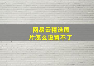 网易云精选图片怎么设置不了