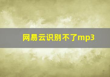 网易云识别不了mp3