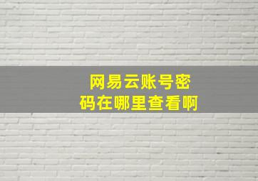 网易云账号密码在哪里查看啊