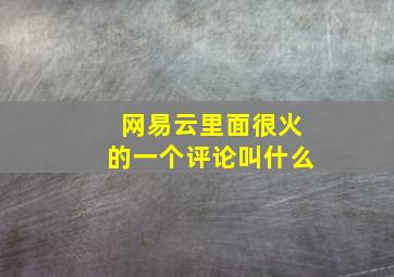 网易云里面很火的一个评论叫什么