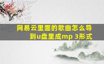 网易云里面的歌曲怎么导到u盘里成mp 3形式