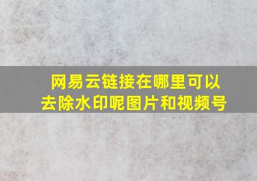 网易云链接在哪里可以去除水印呢图片和视频号