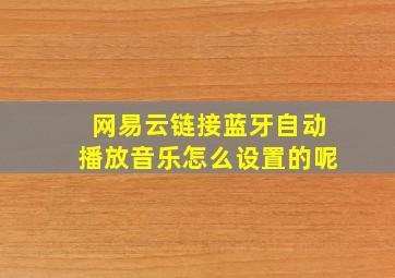 网易云链接蓝牙自动播放音乐怎么设置的呢