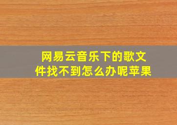 网易云音乐下的歌文件找不到怎么办呢苹果