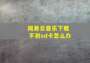 网易云音乐下载不到sd卡怎么办