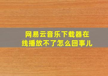 网易云音乐下载器在线播放不了怎么回事儿