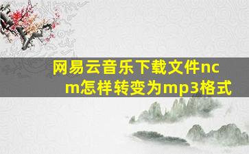 网易云音乐下载文件ncm怎样转变为mp3格式