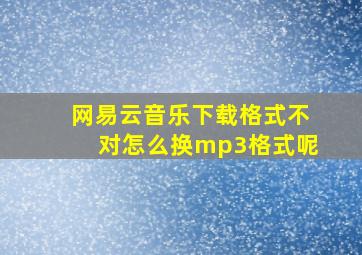 网易云音乐下载格式不对怎么换mp3格式呢