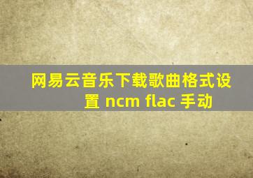 网易云音乐下载歌曲格式设置 ncm flac 手动