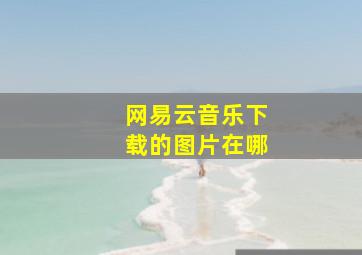 网易云音乐下载的图片在哪