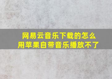 网易云音乐下载的怎么用苹果自带音乐播放不了