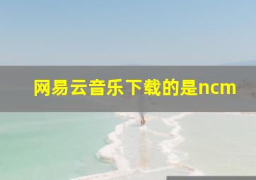 网易云音乐下载的是ncm