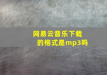 网易云音乐下载的格式是mp3吗