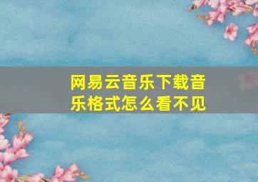 网易云音乐下载音乐格式怎么看不见