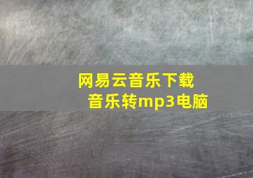 网易云音乐下载音乐转mp3电脑