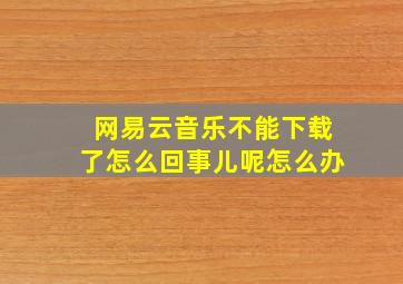 网易云音乐不能下载了怎么回事儿呢怎么办