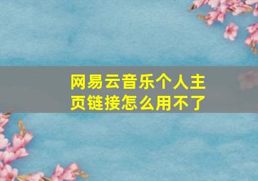 网易云音乐个人主页链接怎么用不了