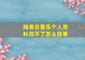 网易云音乐个人资料改不了怎么回事